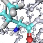 Амінокислоти грають важливу роль у здоров’ї людини